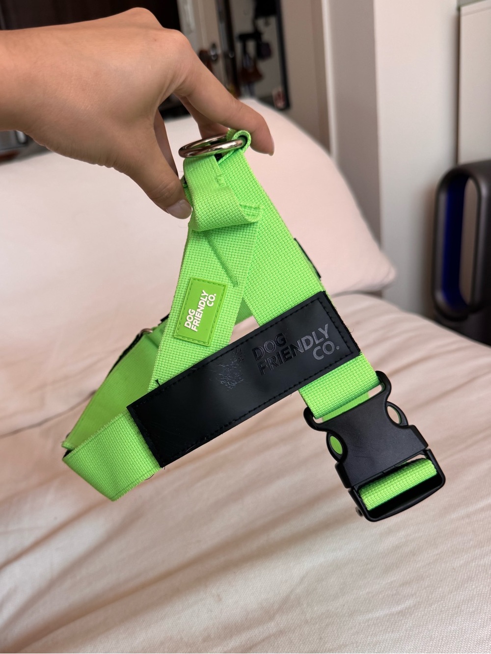 Neon Green No-Pull Dog Harness with D Ring